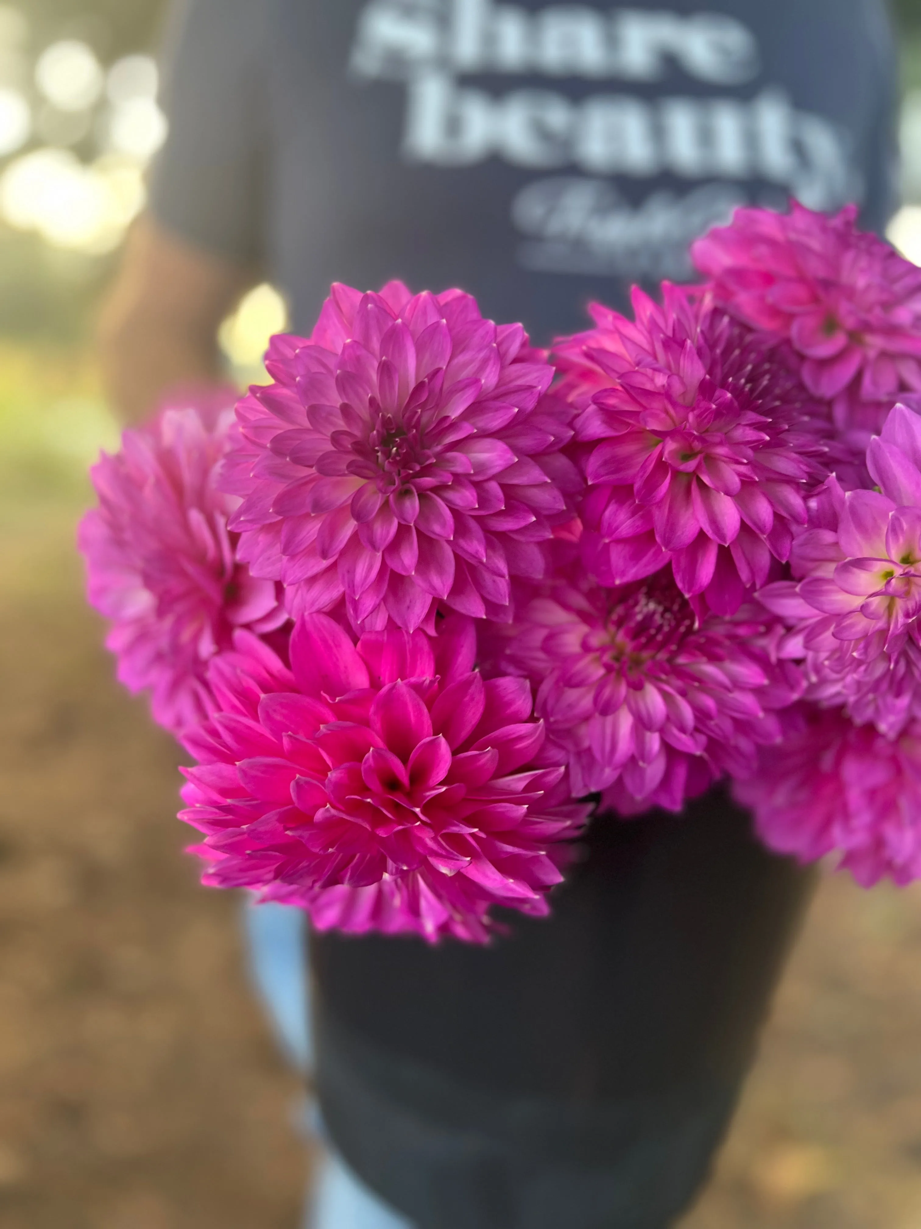 Bloomquist Clear Delight Dahlia Tuber