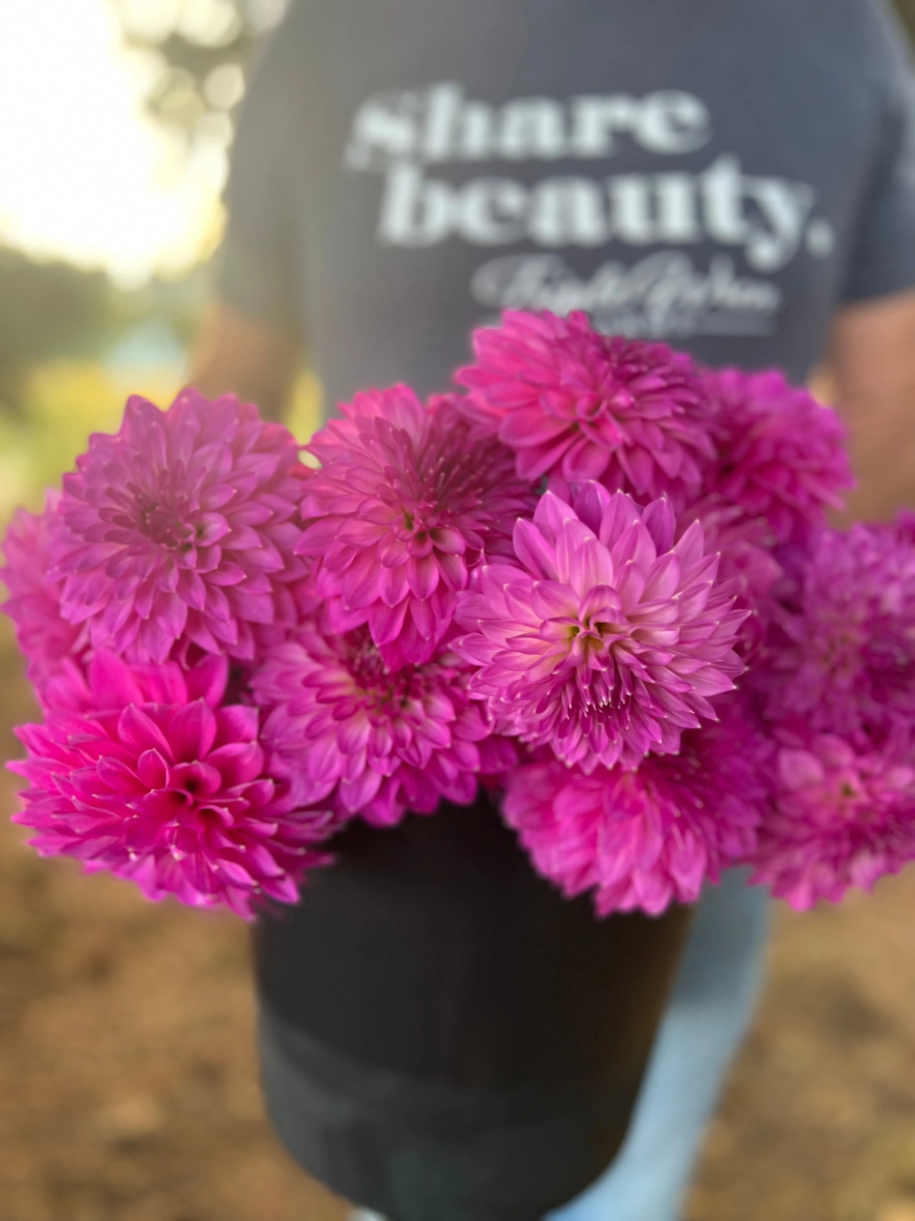 Bloomquist Clear Delight Dahlia Tuber