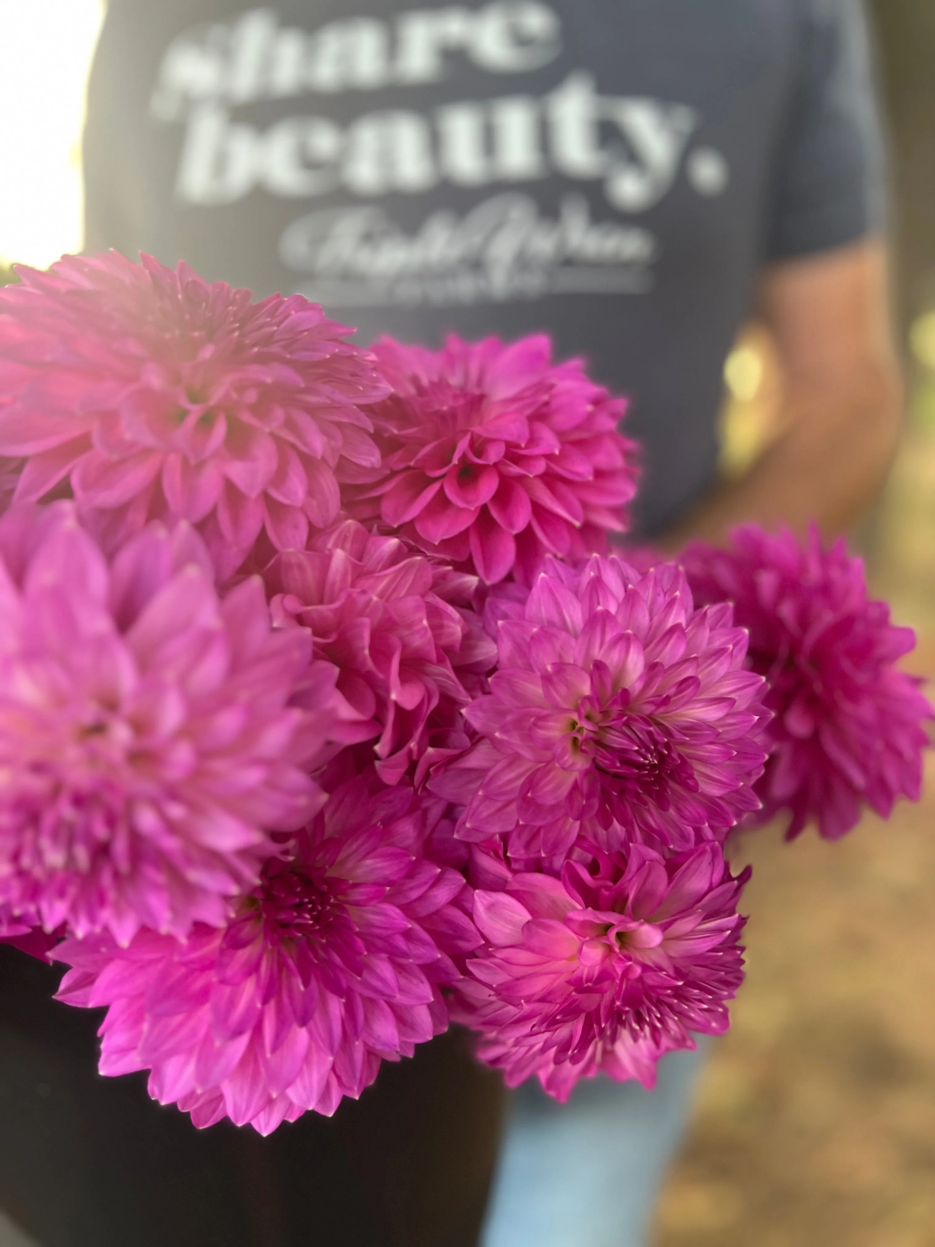 Bloomquist Clear Delight Dahlia Tuber
